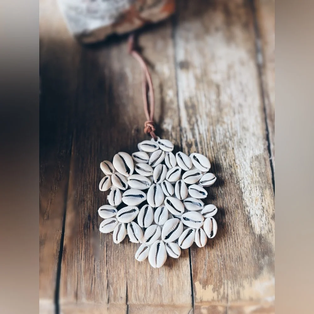 Ornament / Cowrie Shell / Keepsake Box